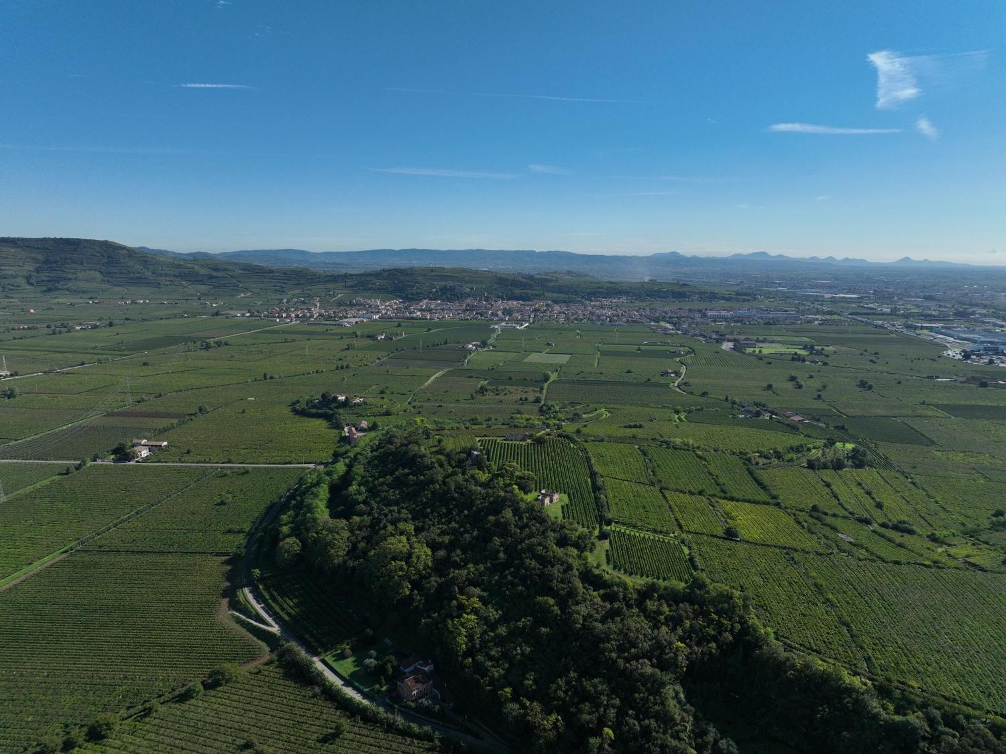 Agriturismo Monte Bisson Соаве Экстерьер фото