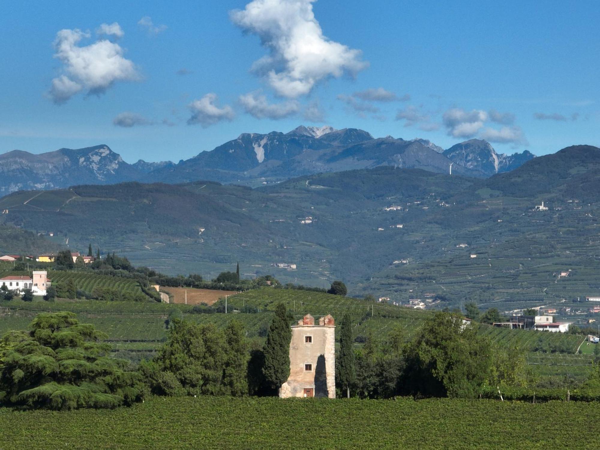 Agriturismo Monte Bisson Соаве Экстерьер фото